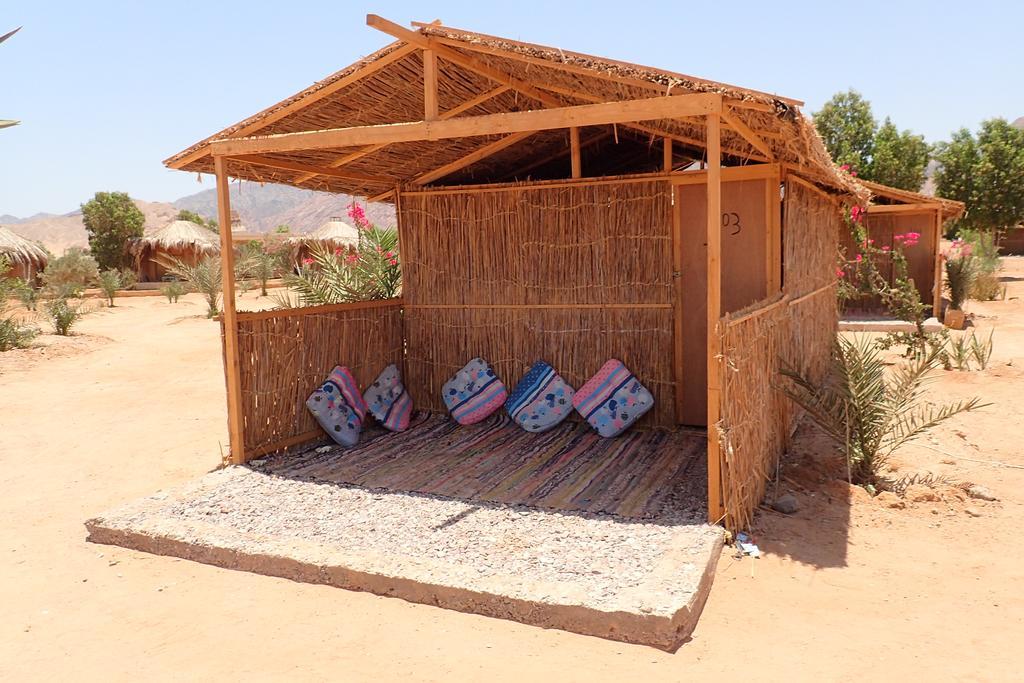 Campsite Bedouin Star Taba
