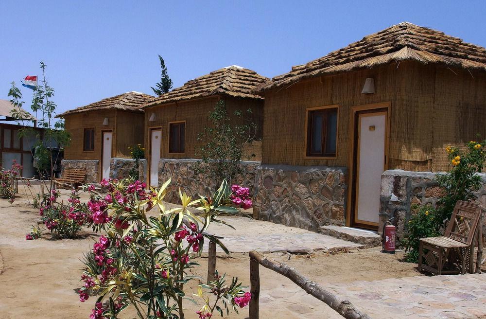 Resort Roots Red Sea El Qoseir