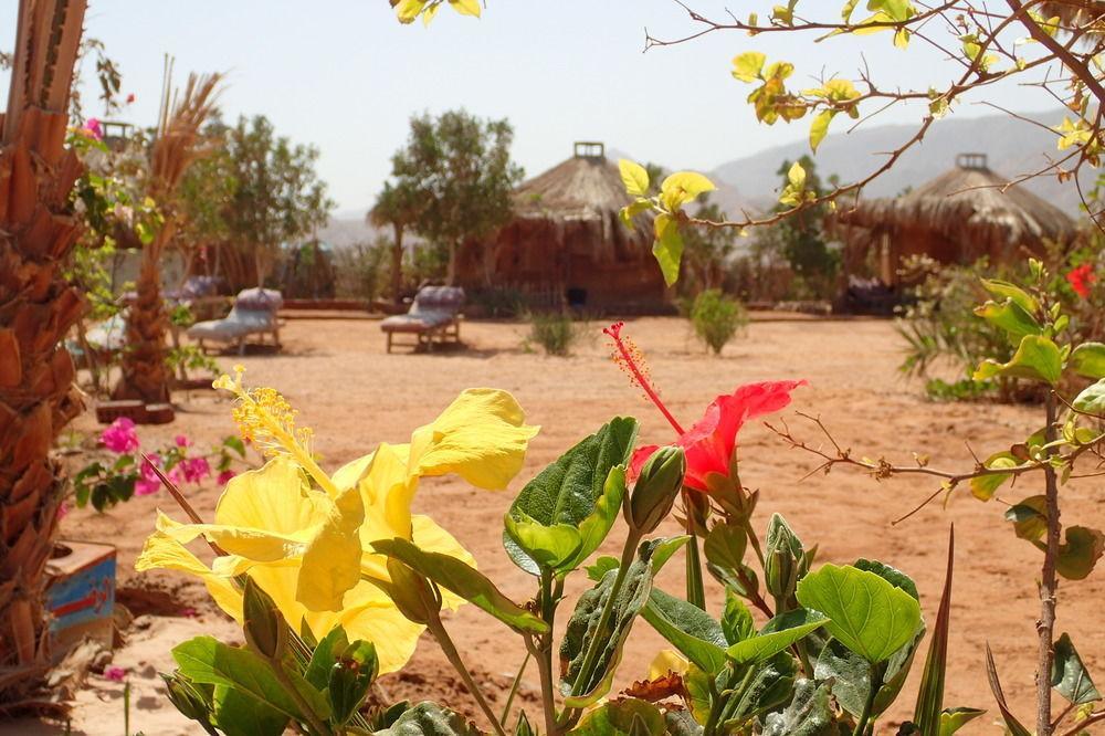Bedouin Star 4*