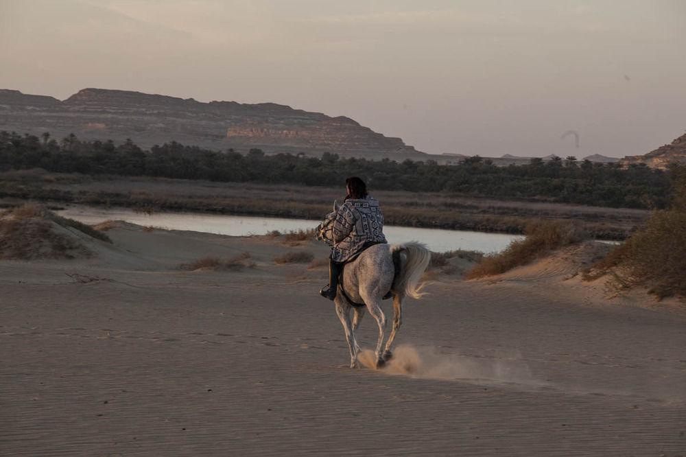 Taziry Siwa 5*