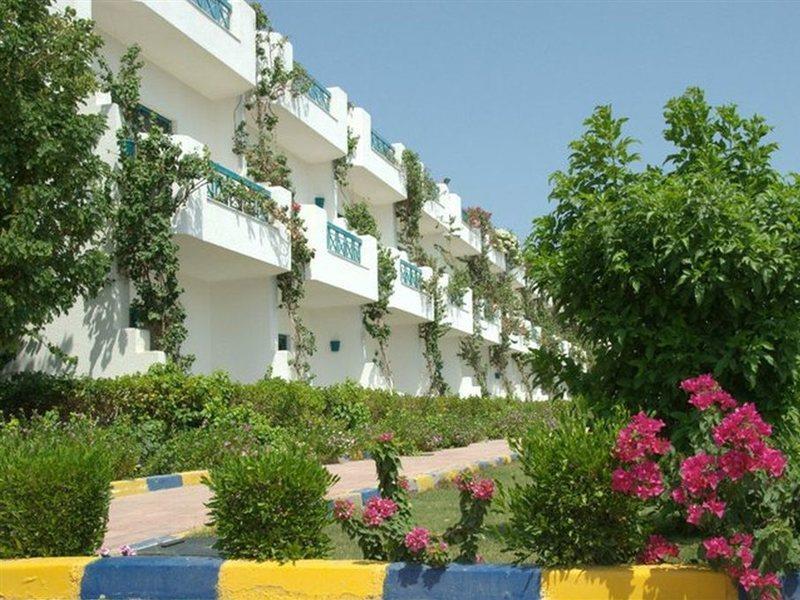 Hotel Cliff 2*