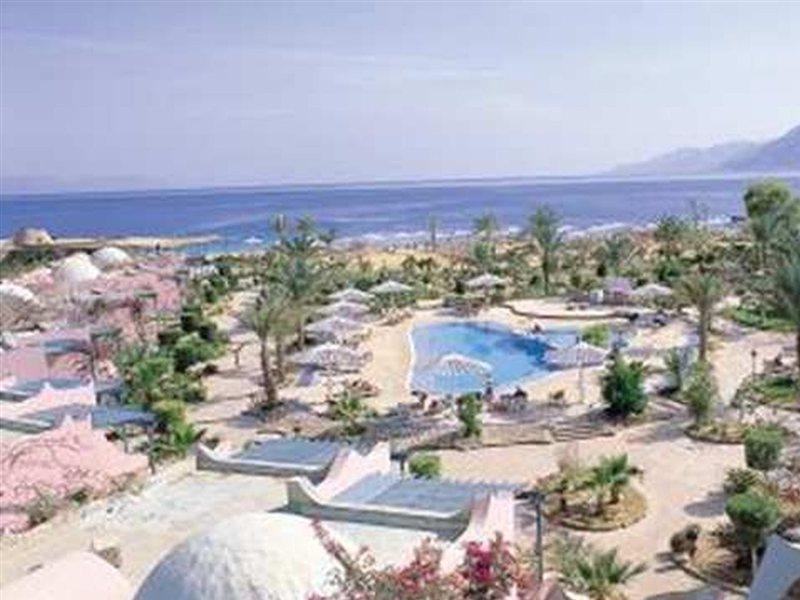 Time Coral Nuweiba`