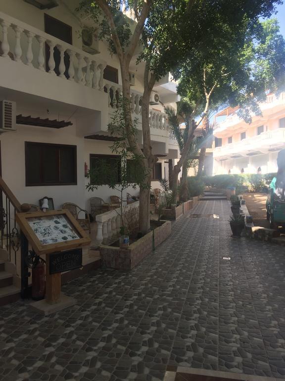 Seven Heaven Dahab
