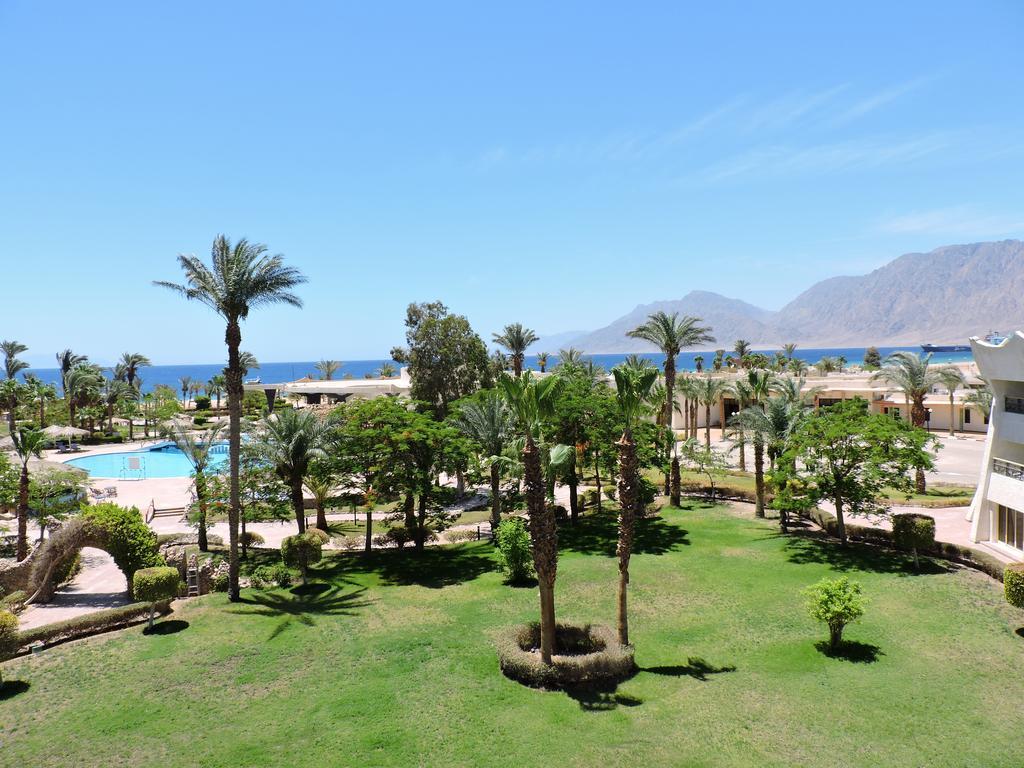 Time Coral Nuweiba`