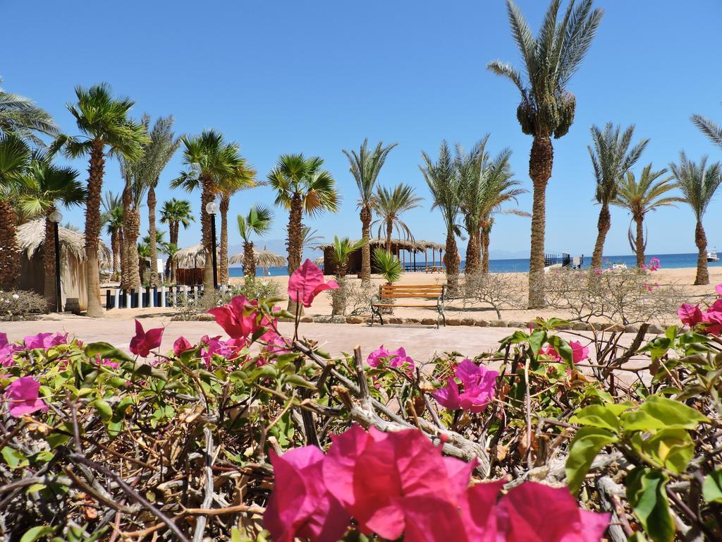 Resort Time Coral Nuweiba`