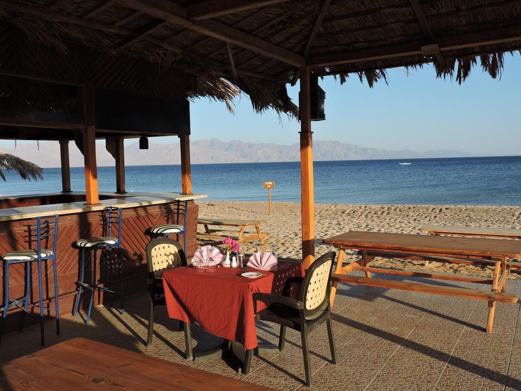 Time Coral Nuweiba`