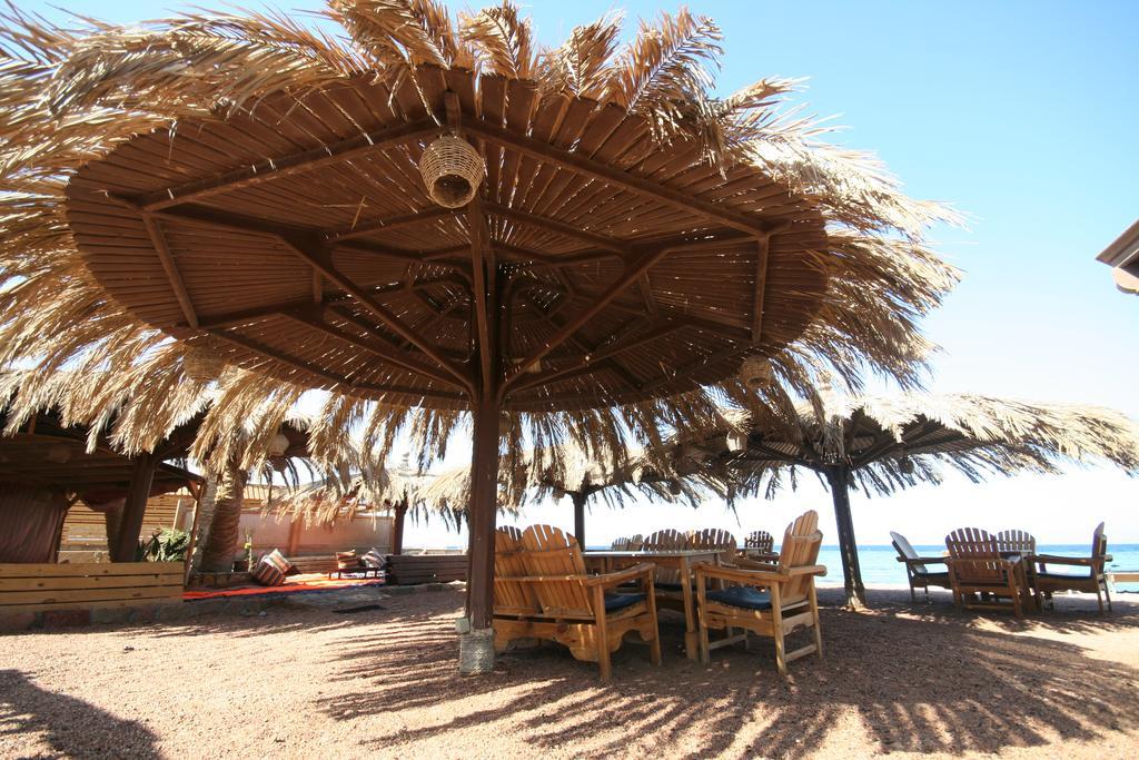 Inn Dive Urge Dahab