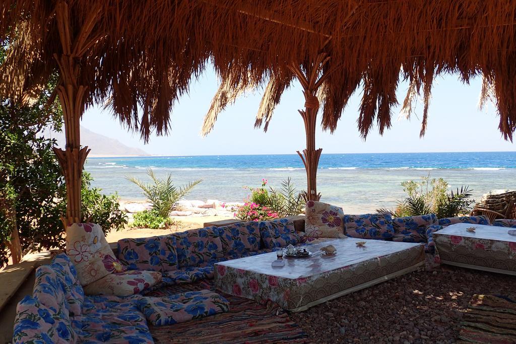 Campsite Bedouin Star