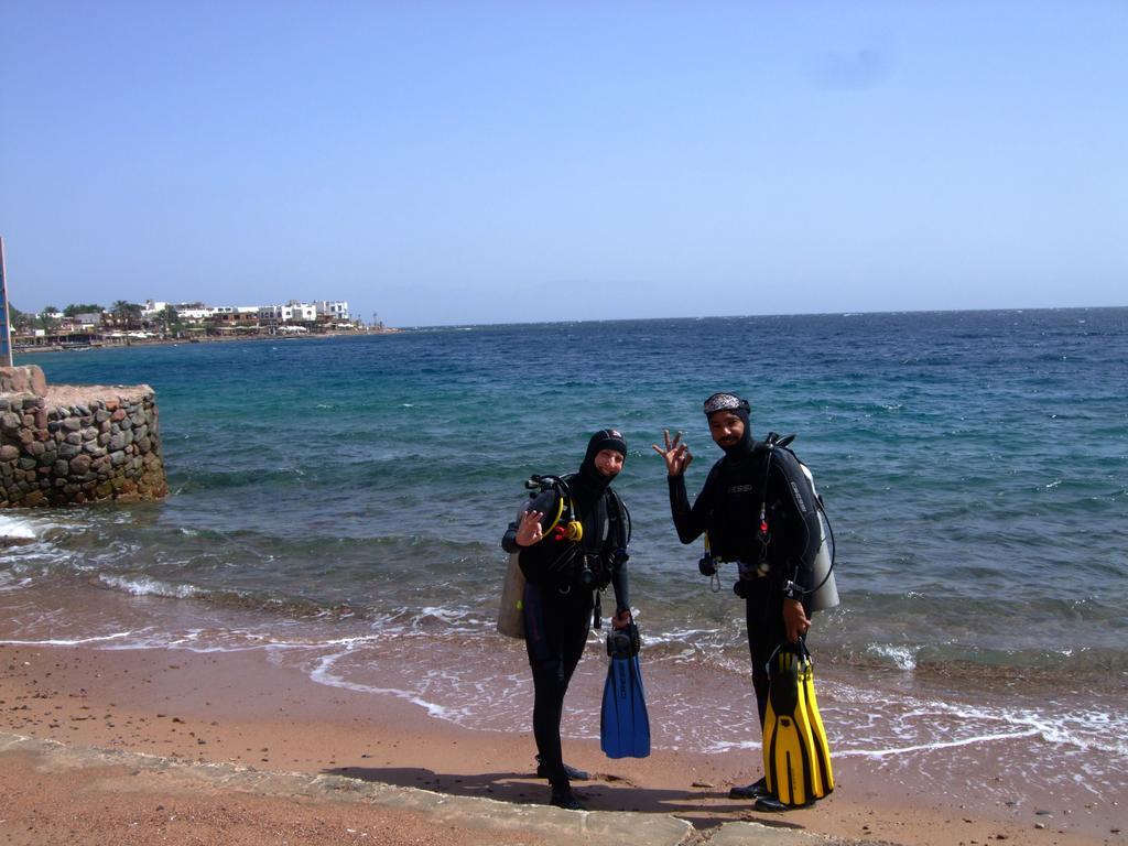 Inn Dive Urge