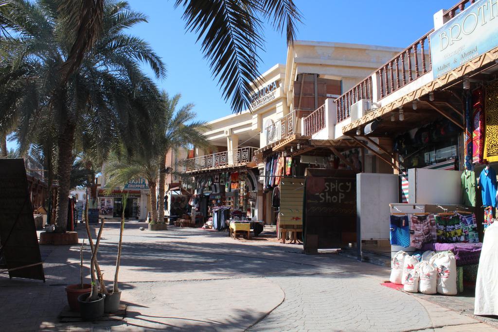 Seven Heaven 2* Dahab