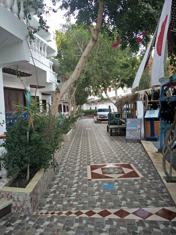 Seven Heaven 2* Dahab