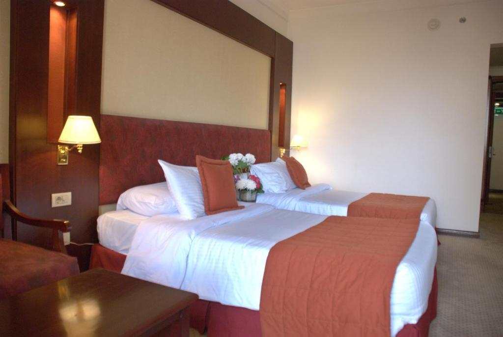 Hotel Safir Cairo Giza