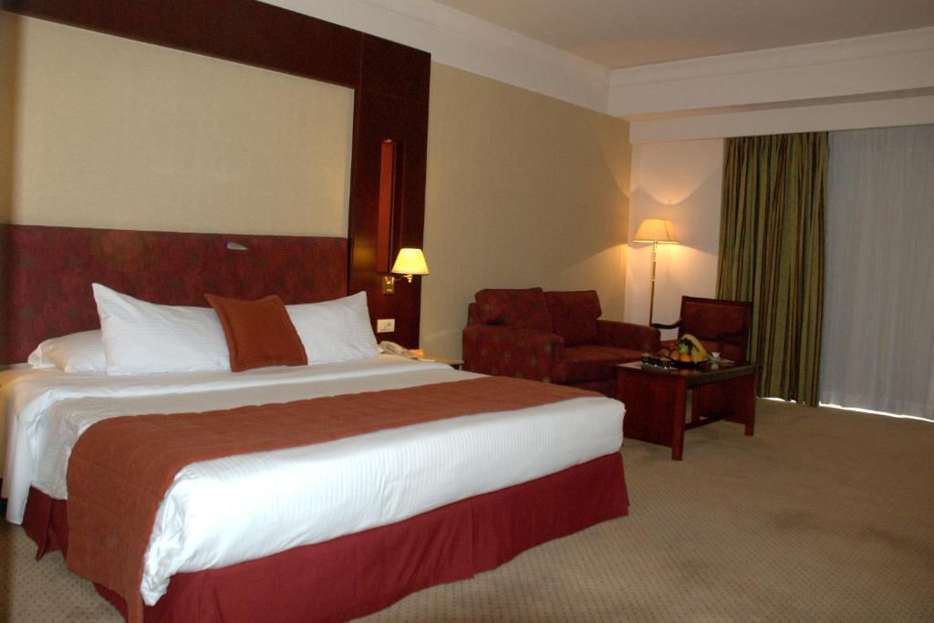 Hotel Safir Cairo Giza