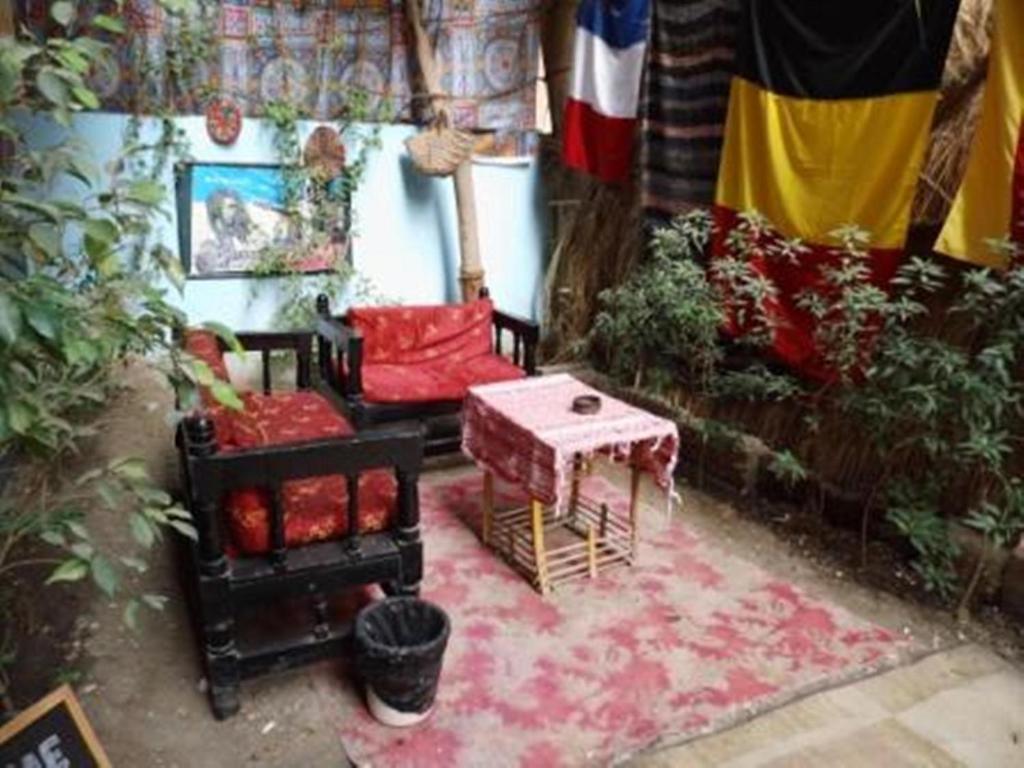 Albergue Bob Marley House Sherief *