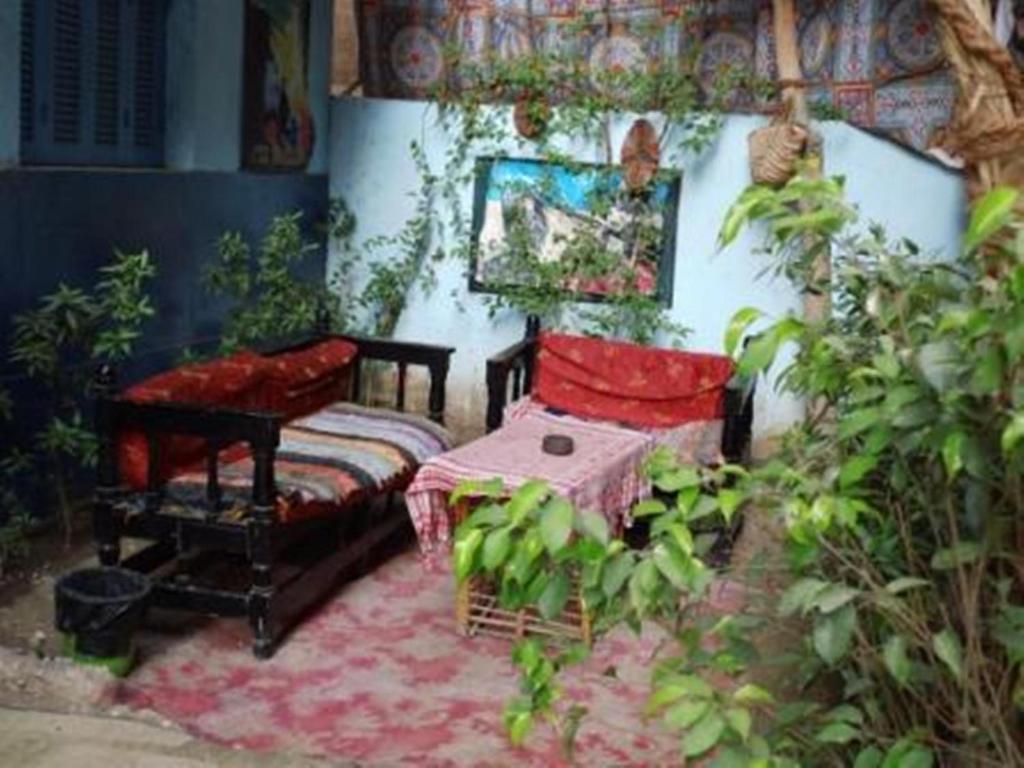 Bob Marley House Sherief Albergue *