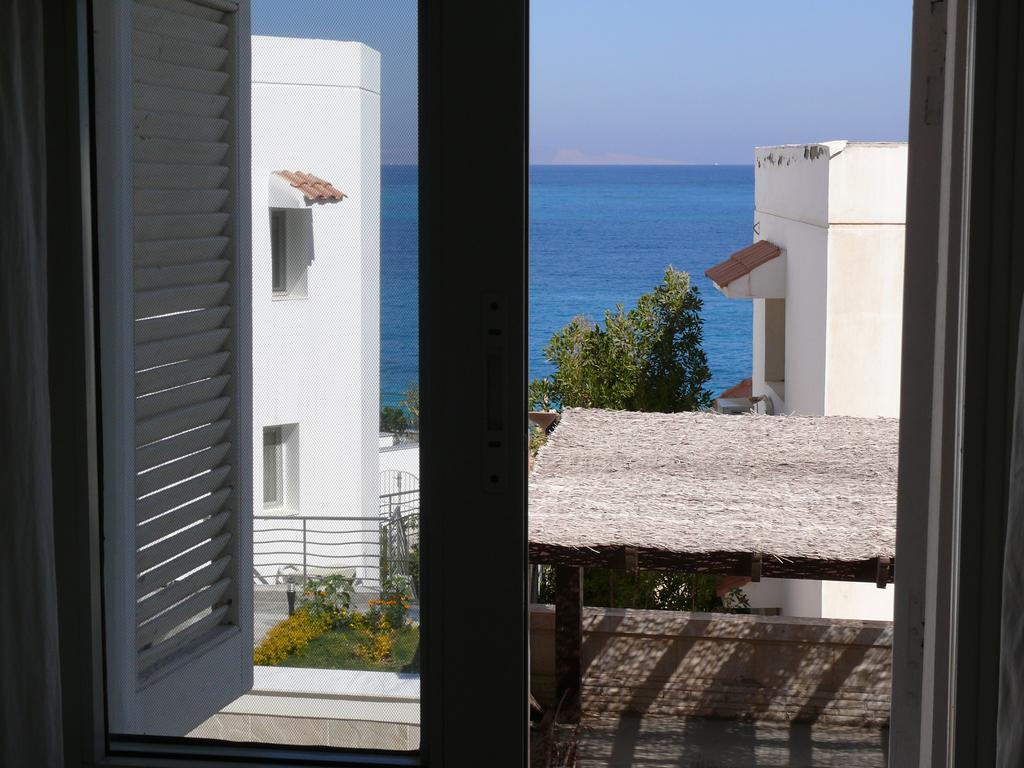 Mini-studio With Free Private Apartment