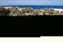 Resort The Grand Sheikh