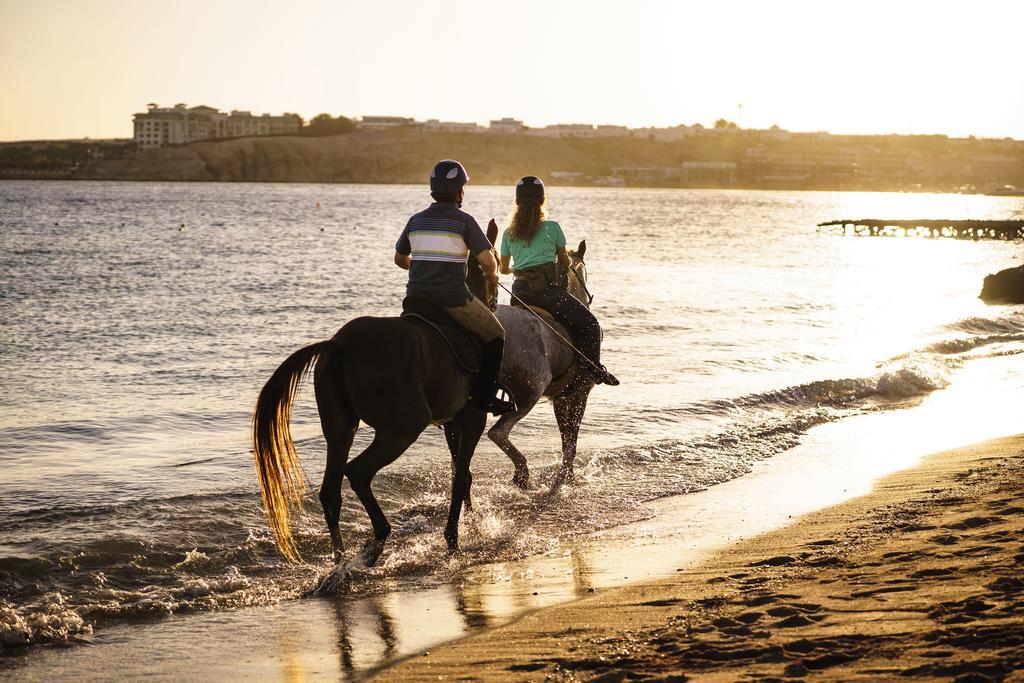 Movenpick Sheikh Resort