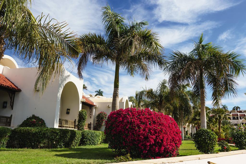 Resort Movenpick Sheikh 5*