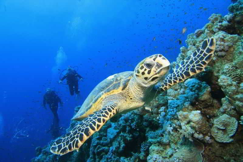 Resort Coral Coast Dahab