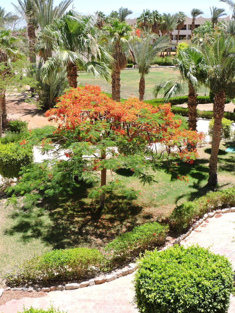Resort Time Coral Nuweiba`