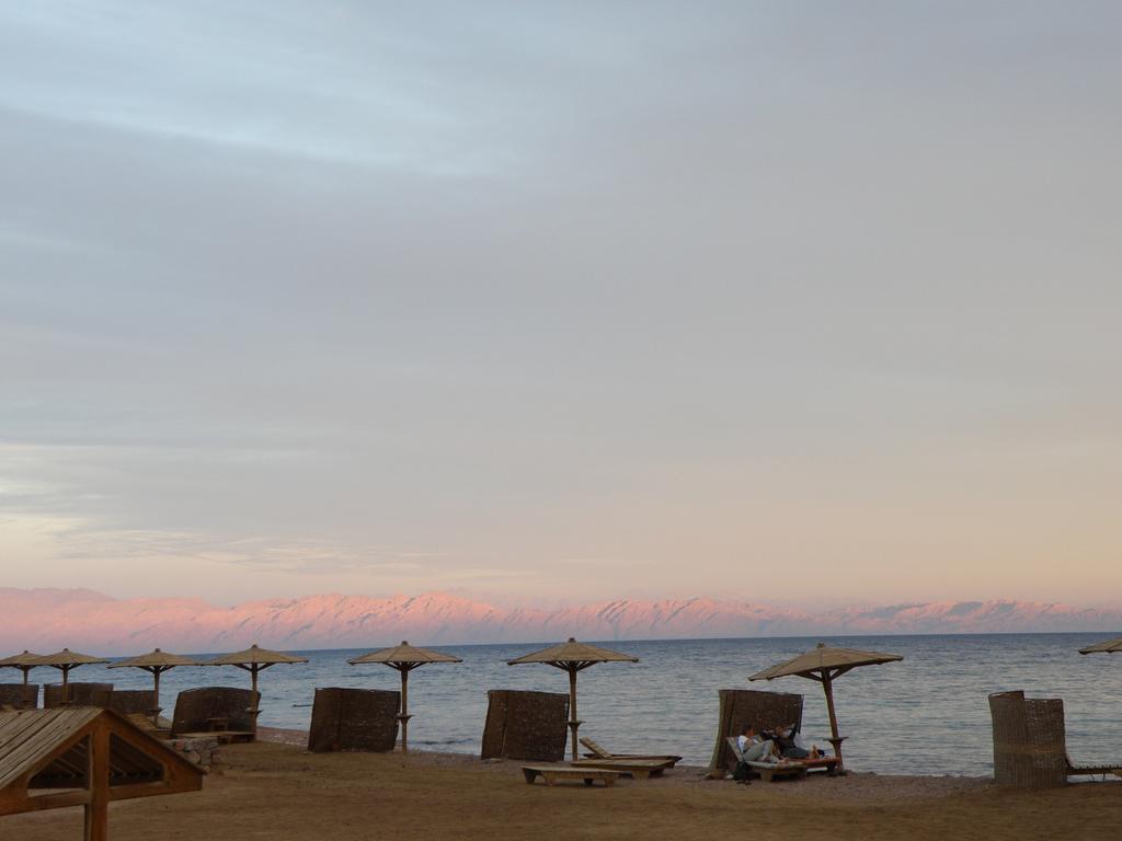 Daniela Diving 3* Dahab