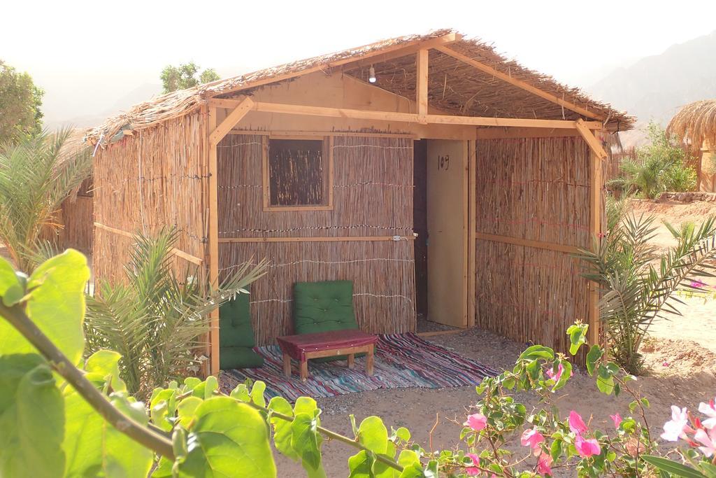 Bedouin Star Campsite