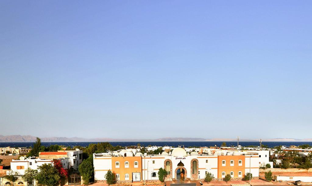 Sheikh Ali