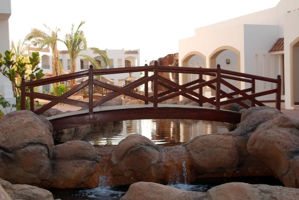 Coral Hills