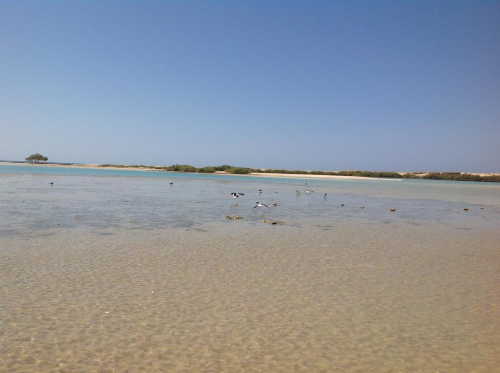 Wadi Lahmy Azur - Soft Resort Abu Ghusun