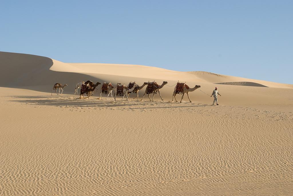 Taziry Siwa Siwa Oasis