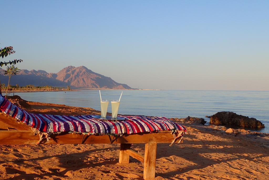 Bedouin Star 4*