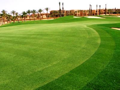 Jaz Little Venice Golf Resort Ain Sukhna