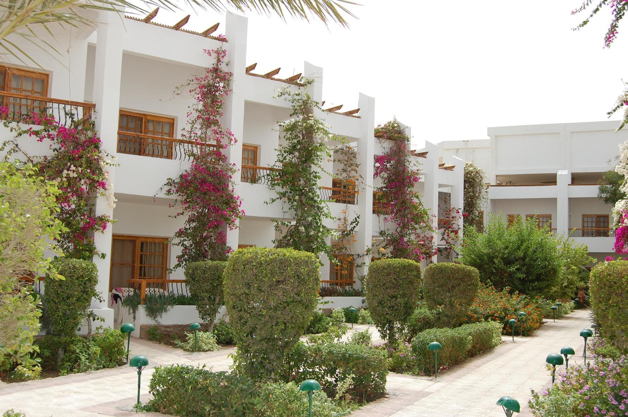 Menaville 4* Safaga