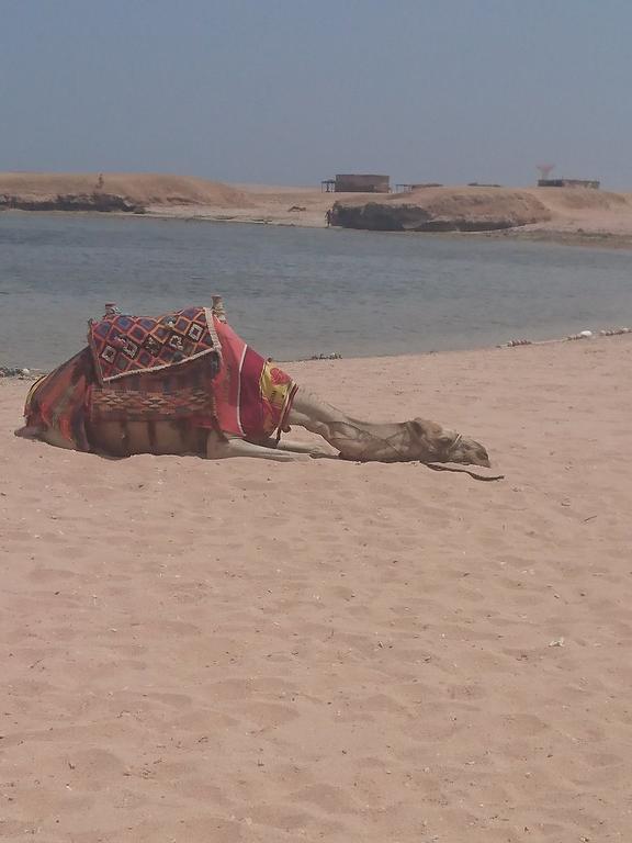 Sharm El Naga And Diving Center 3* Hurgada