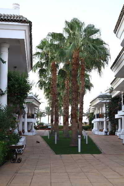 Dessole Seti Palm 3* Sharm el-Sheikh