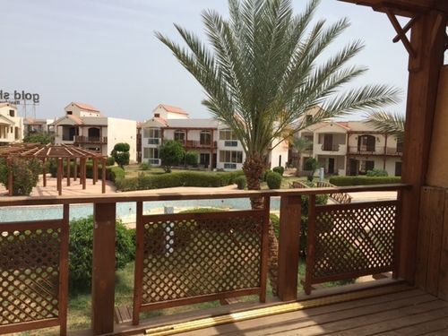 Gold Sharm