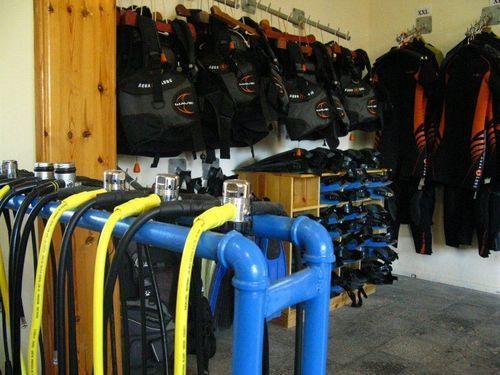 Divers * Dahab