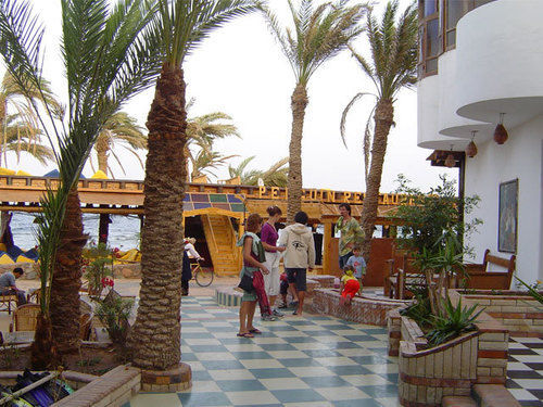 Penguin Village