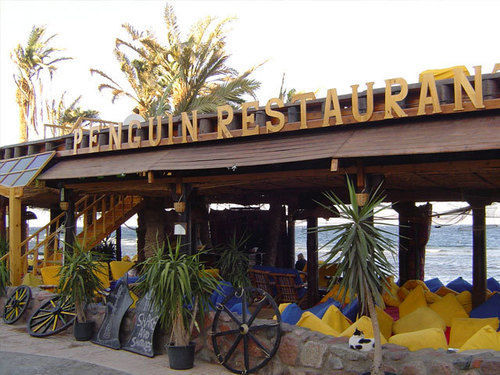 Penguin Village Dahab