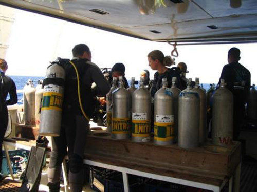 Penguin Village Dahab