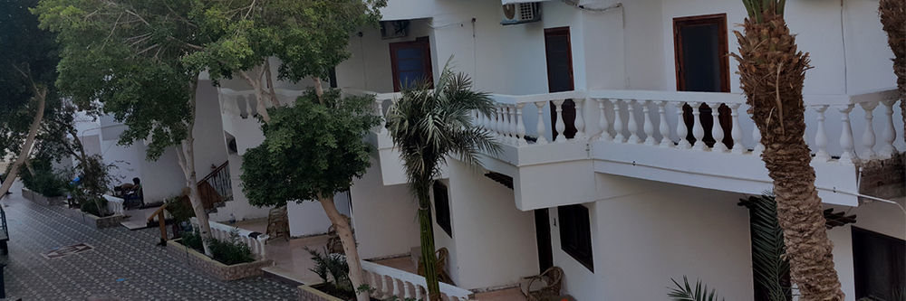 Seven Heaven 2* Dahab