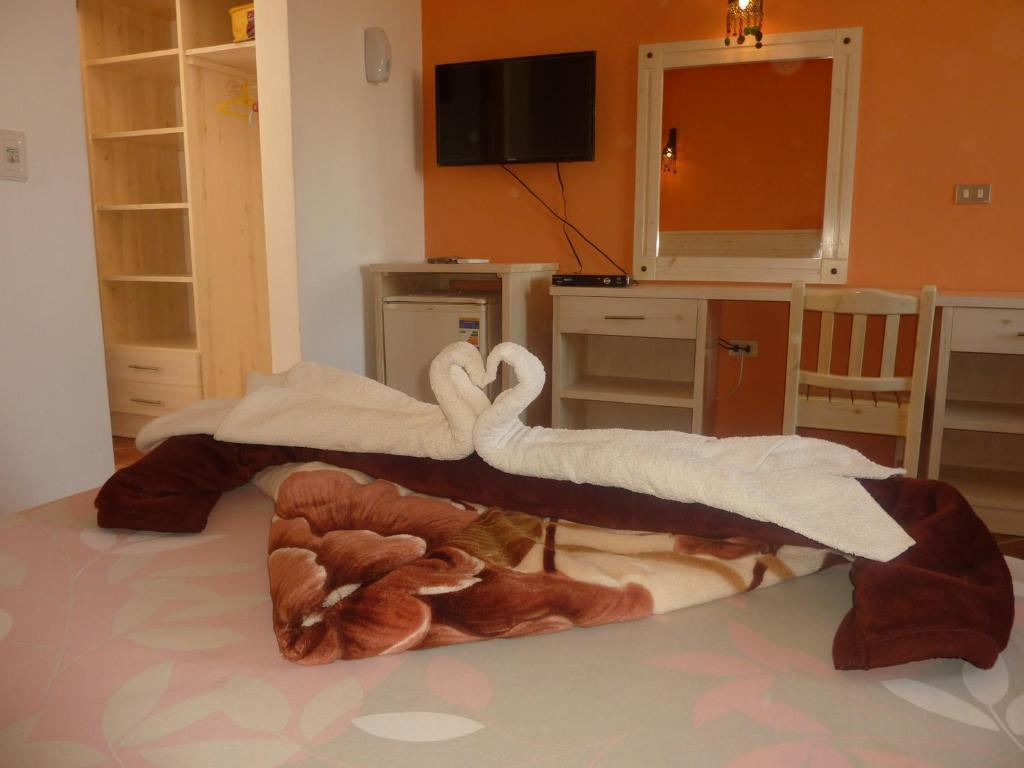 Divers Hostel