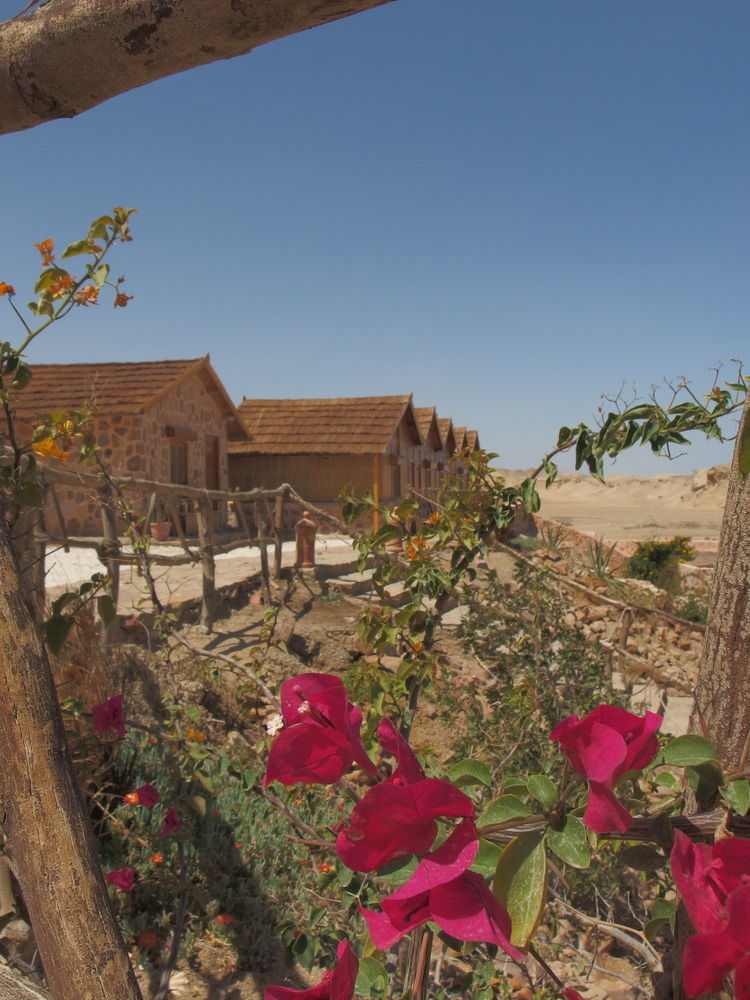 Resort Roots Red Sea El Qoseir
