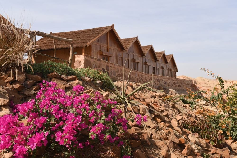 Resort Roots Red Sea 3*