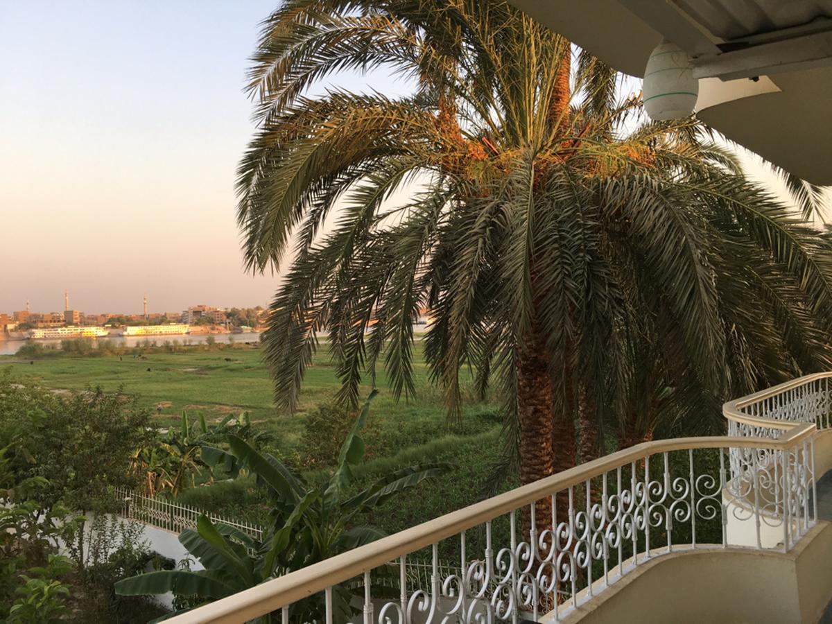 Nile View