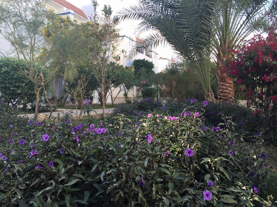 Riviera Resort 3*