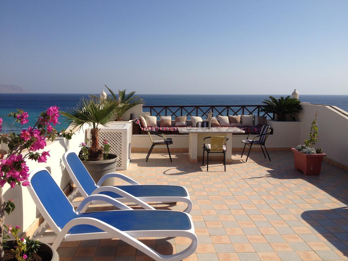 Sharks Bay Oasis Apartament