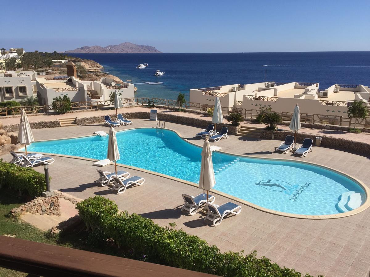Apartament Sharks Bay Oasis *