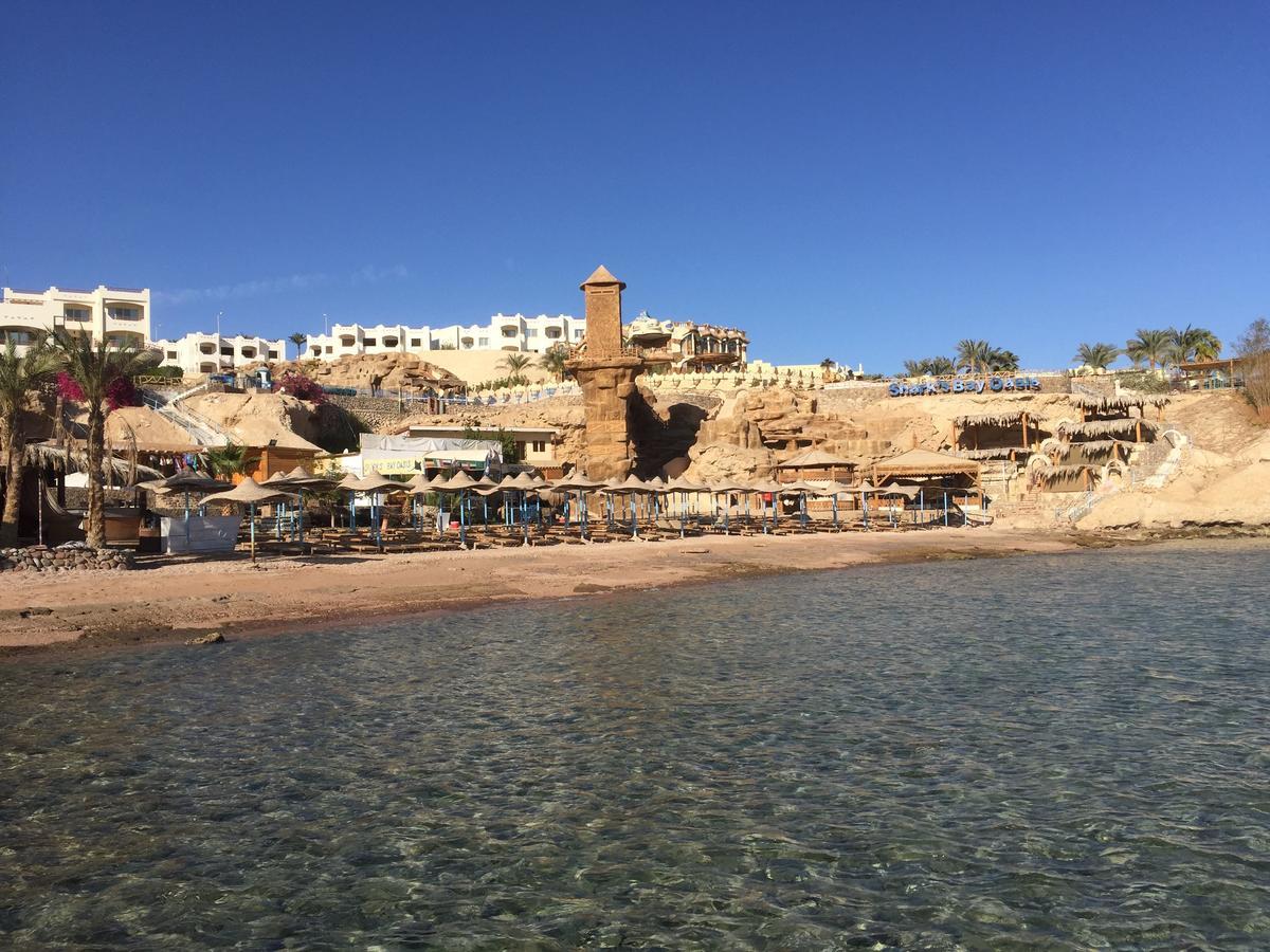 Sharks Bay Oasis Apartament *